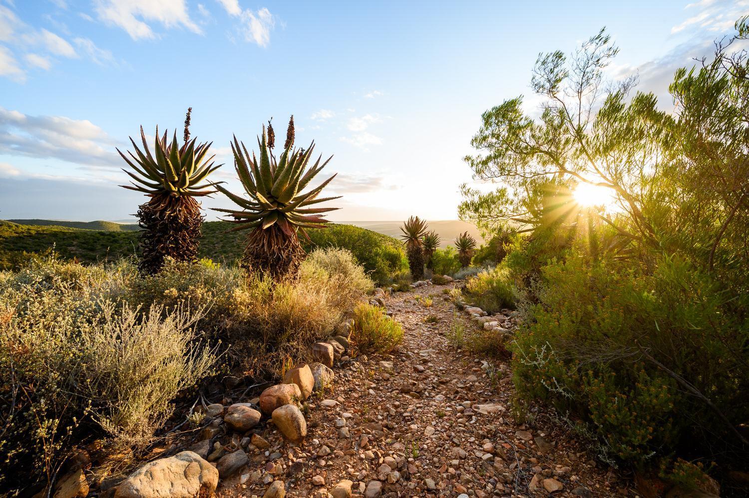 Le Petit Karoo Ranch Bed & Breakfast Oudtshoorn Exterior photo